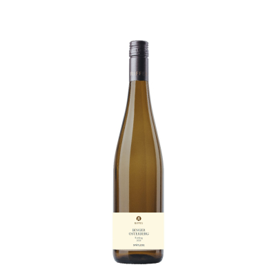 Riesling Spätlese Binger Osterberg 2025 | Bio | Rheinhessen | Weingut Riffel | Bingen am Rhein