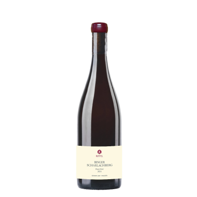 Pinot Noir trocken Binger Scharlachberg 2024 | Bio | Rheinhessen | Weingut Riffel | Bingen am Rhein