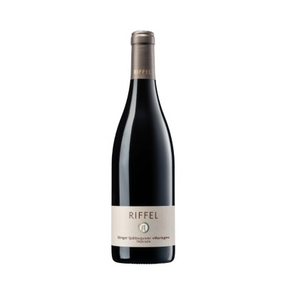 Spätburgunder Rotwein trocken  | Bio | Rheinhessen | Weingut Riffel | Bingen am Rhein