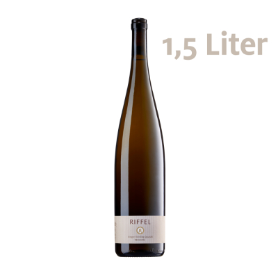 Riesling Quarzit trocken Magnum 2019 | Ortswein | Bio | Rheinhessen | Weingut Riffel | Bingen am Rhein